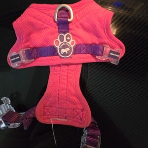 Dog Summer Harness
